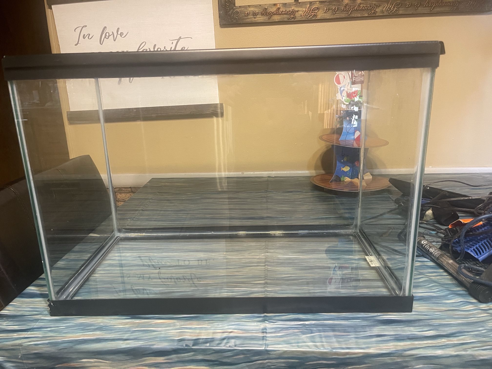 20 gallon tank