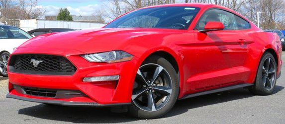 2019 Ford Mustang