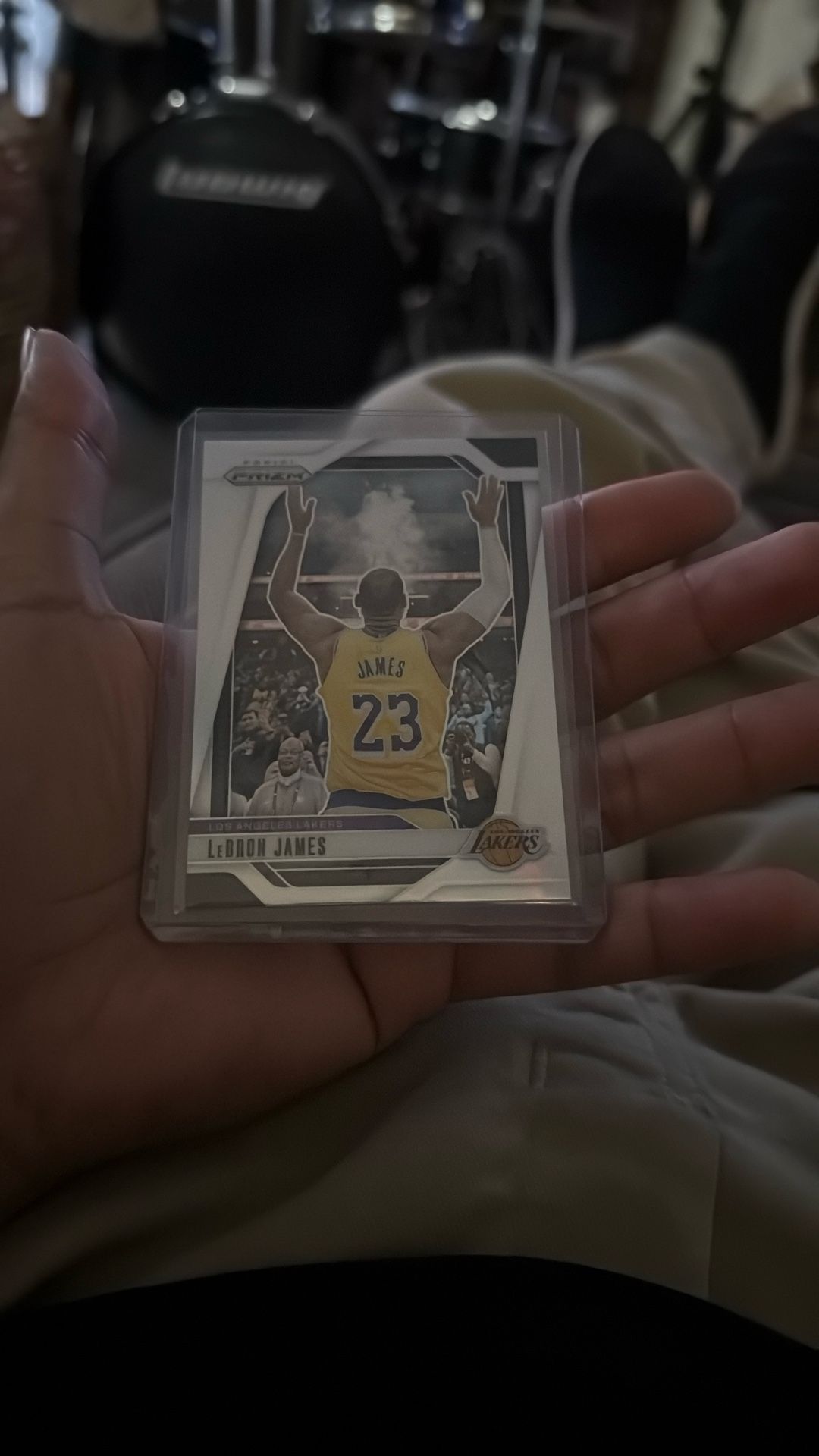LeBron James Silver Panini Prizm 