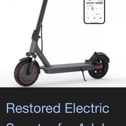 Electric Scooter