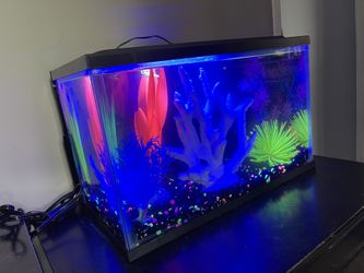 GloFish Glass Aquarium 