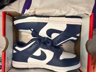Brand new Nike dunks