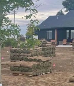 Sod $2 per sq/ ft