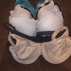 36D Bra Lot