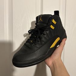 Air Jordan 12 Retro