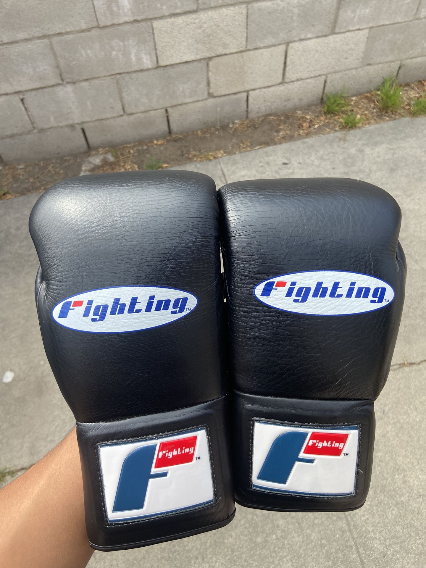 Fighting Fearless Certified Pro Fight Boxing Gloves 