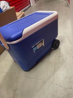 Cooler