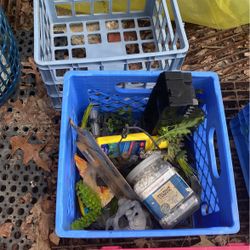 Fish  Aquarium Supplies 