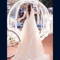 Vestido De Novia Y Velo Wedding Dress And Veil
