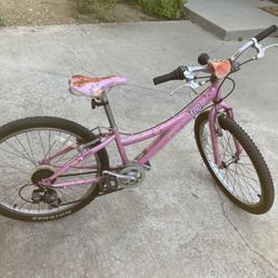 Trek M1200 20 Inch Bicycle