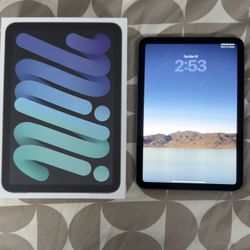 The iPad mini (6th generation)