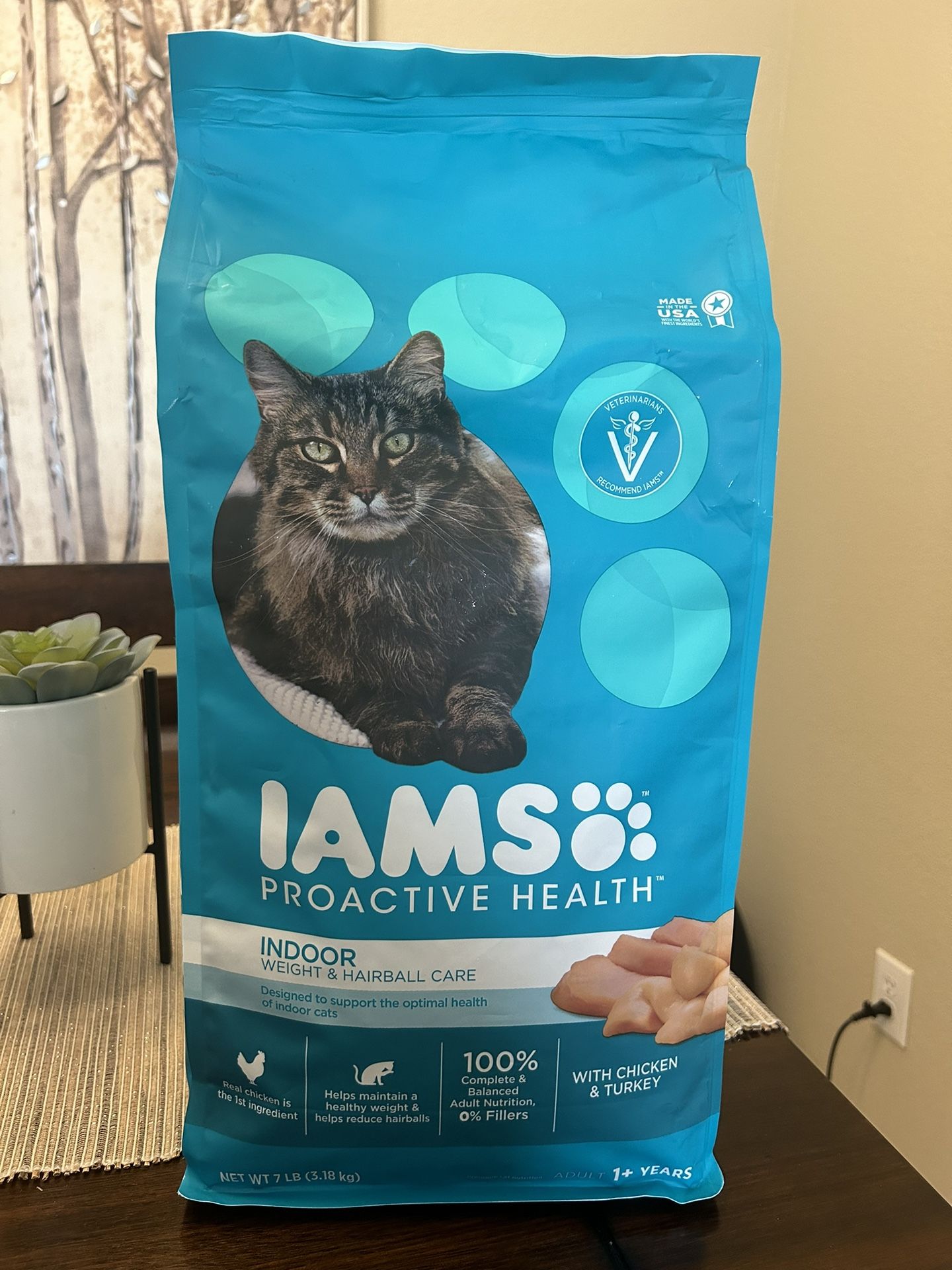 Cat Food