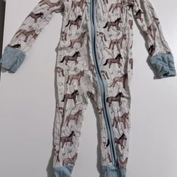 Bamboo Sleepers /Zippered Baby Pajamas 