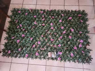 Beautiful flower wallTommy Bahama