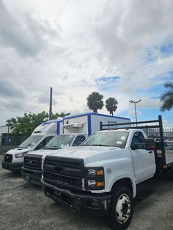 NEW ARRIVALS FLORIDA FLEETS 🚢🌴☀️