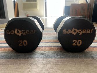 Pair of 20lb Dumbbells - Sports Authority