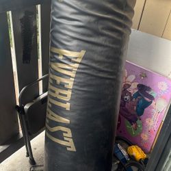 Costal Everlast 90 100 Libras 