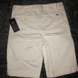 Polo Shorts