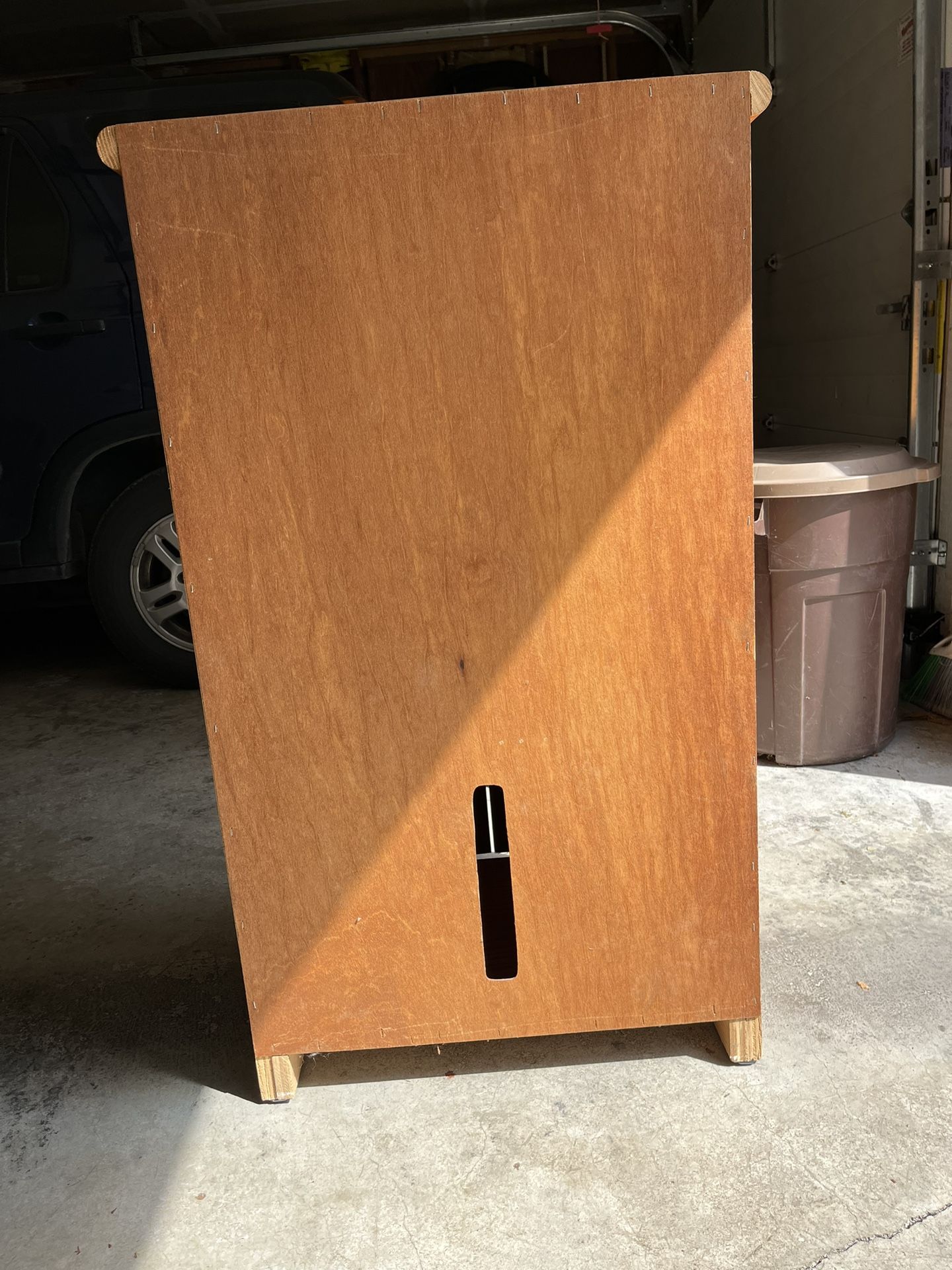 Oak veneer Cabinet