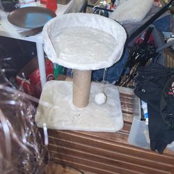 Cat Tower 