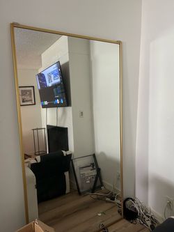 Floor mirror/ closet door