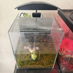 1 Gallon Fish Tank