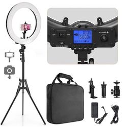 Pixel 19” Bi-Color LED Ring Light 3000K-5800K Dimmable LCD Tripod Stand Phone
