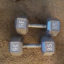 Used 35 lb cheap dumbbells