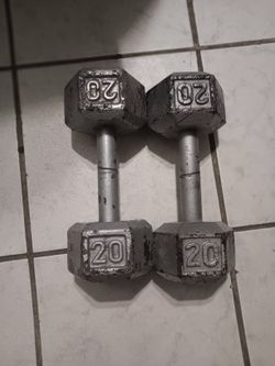 20 Pound Dumbells