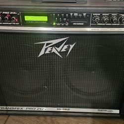 Guitar Amp Peaver Transfex Pro 212s and Midi Pedal board