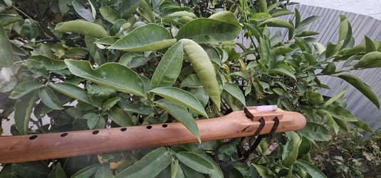 Native American Flute 432 Hz Walnut Bass Flute Low D - Sacral Chakra