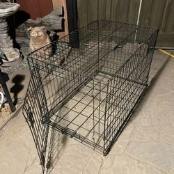 Dog Kennels / Crates