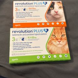Revolution plus 