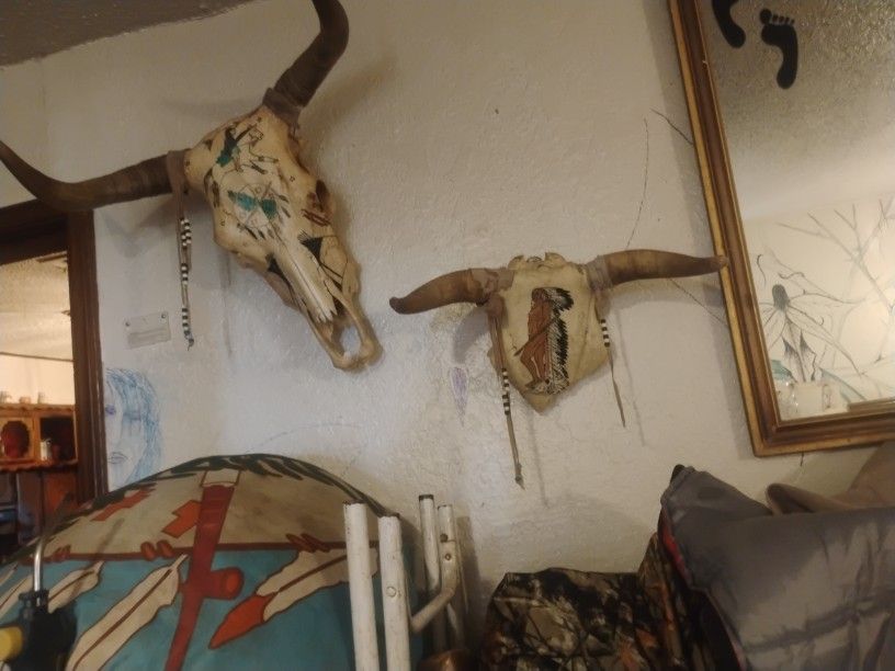 2 Cow Sculles