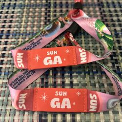Sueños Music Festival 2025 (SUNDAY ONLY GA) Single Day $200- EACH