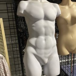 Male Mannequin 1/2 Body