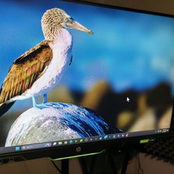 HP -25x 24.5" LED FHD Gaming Monitor