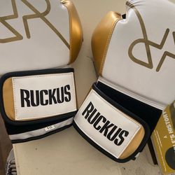 Champs MMA Kids Boxing Freestanding / New Gloves