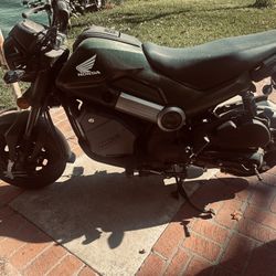 Honda Green Navi