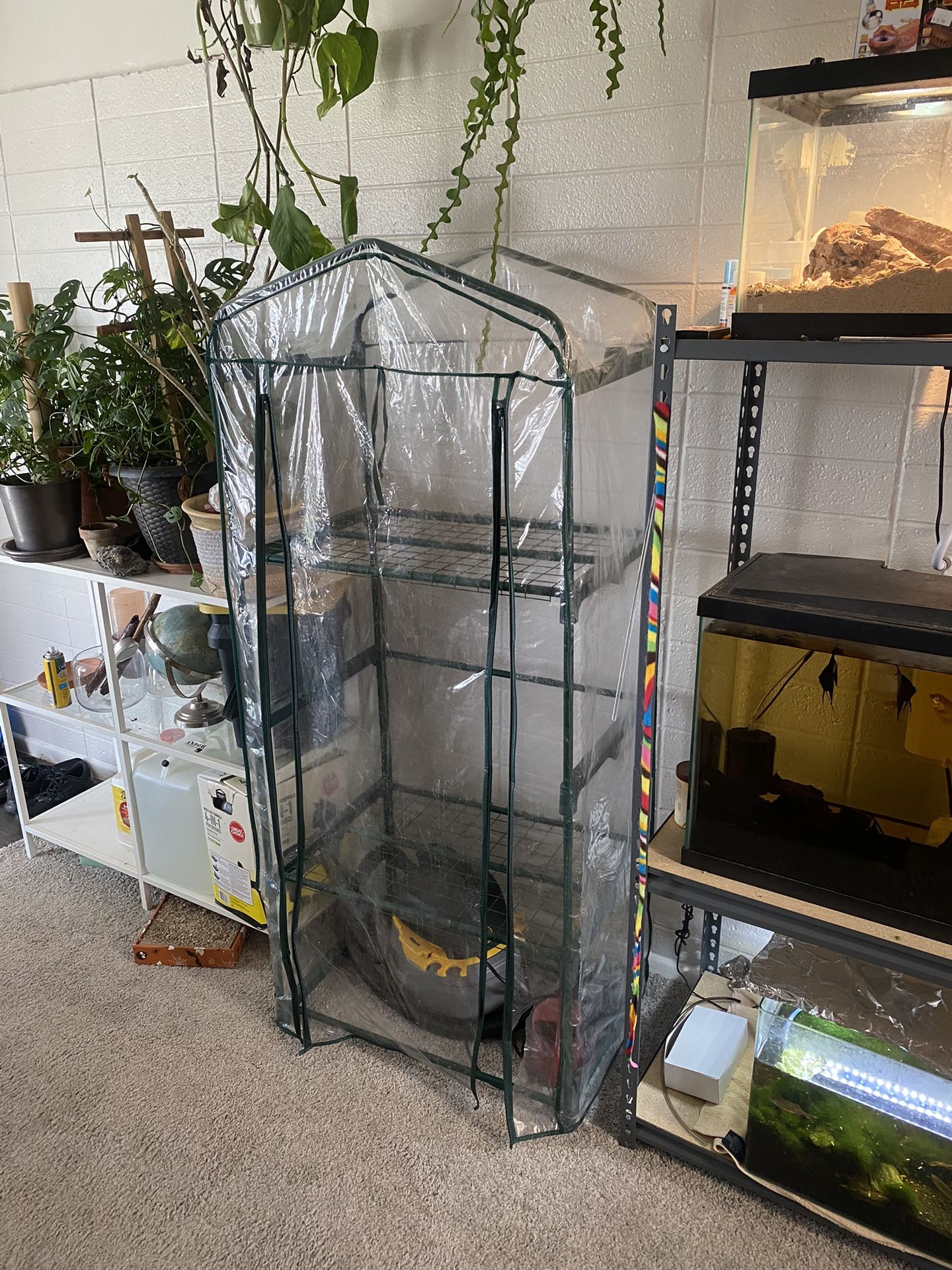 Greenhouse