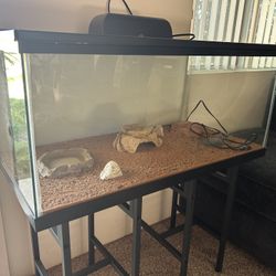 40 Gallon Tank