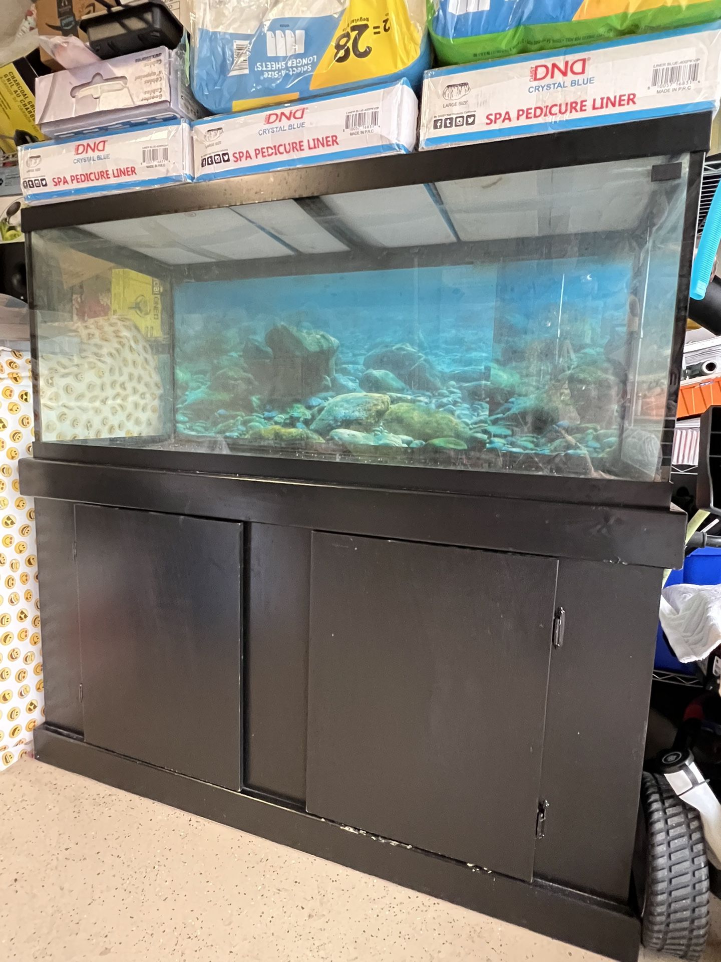 75 Gallons Fish Tanks 