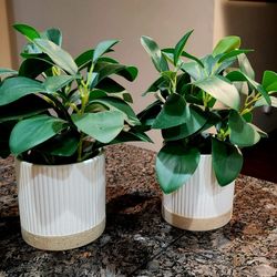 New 2 × Artificial Plants In Ceramic Pots