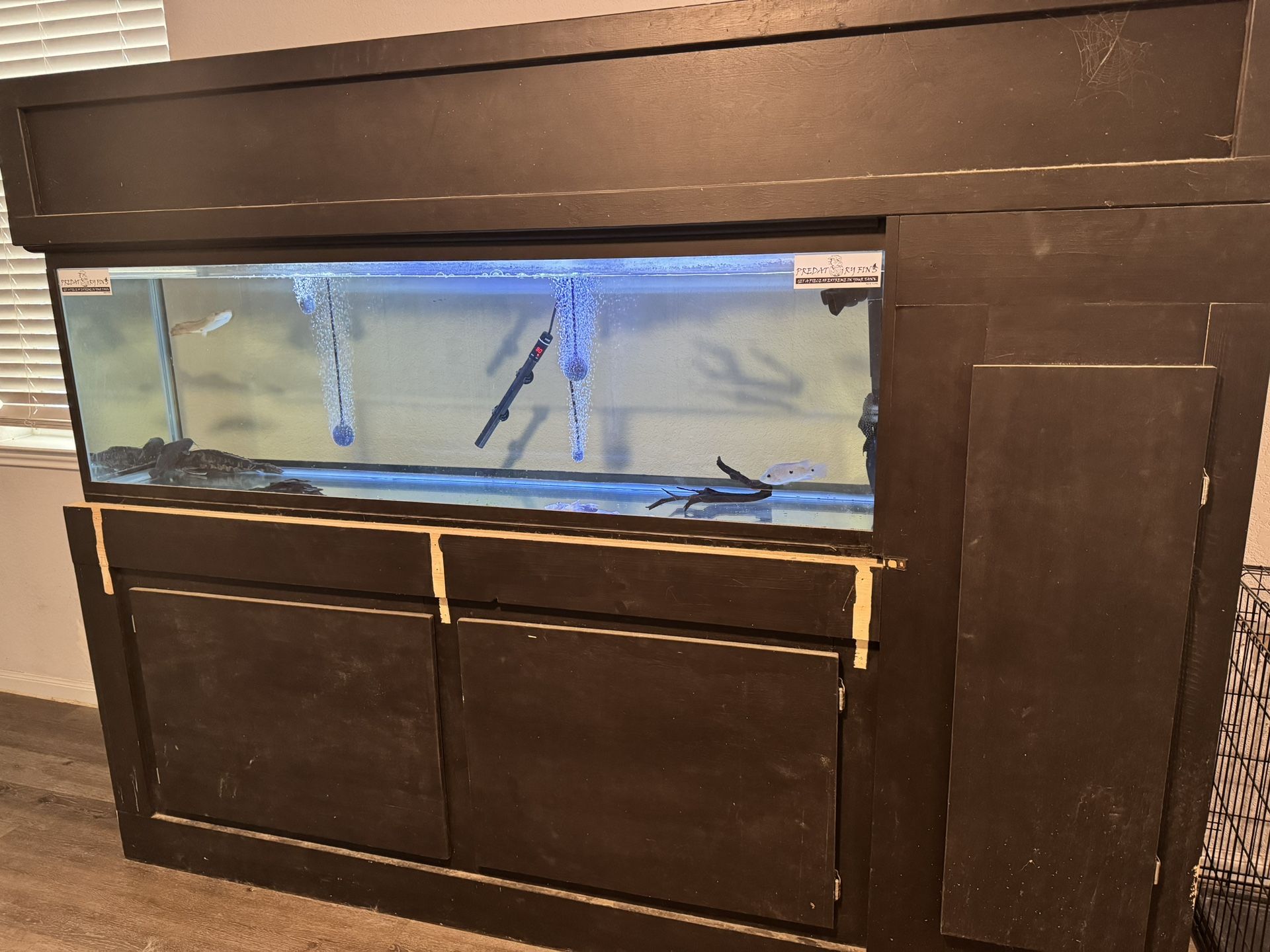 125 Gallon  Aquarium 