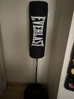 Everlast Punching Bag 