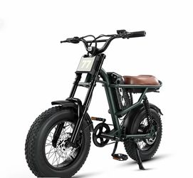 Fat Tire Electric Bike Retro Style