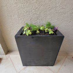 Modern Planter, CUSTOM