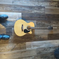 Beginner Acoustic Guitar 