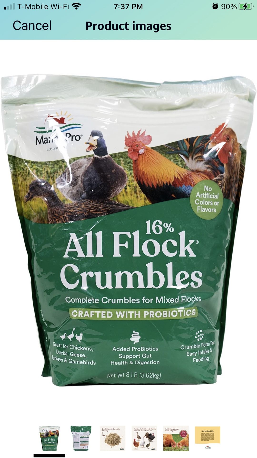 Flock Feed
