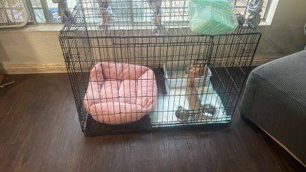 British short cage